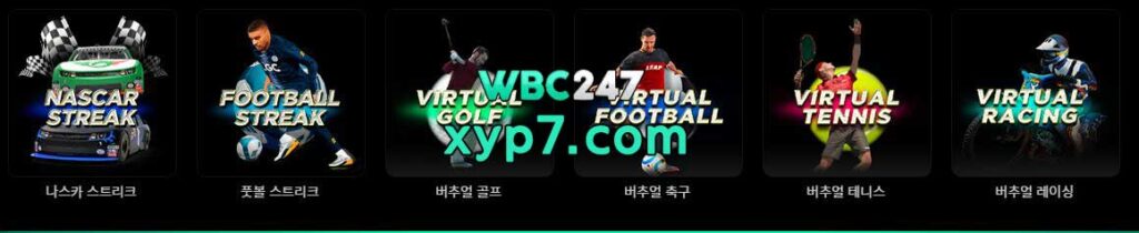 wbc247 가상스포츠